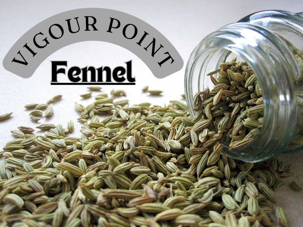 Fennel